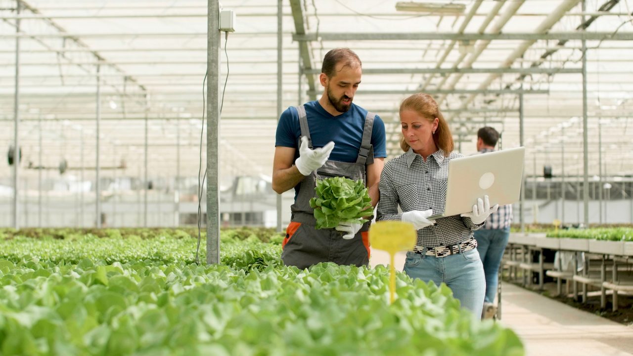 Agricultural Training Programs